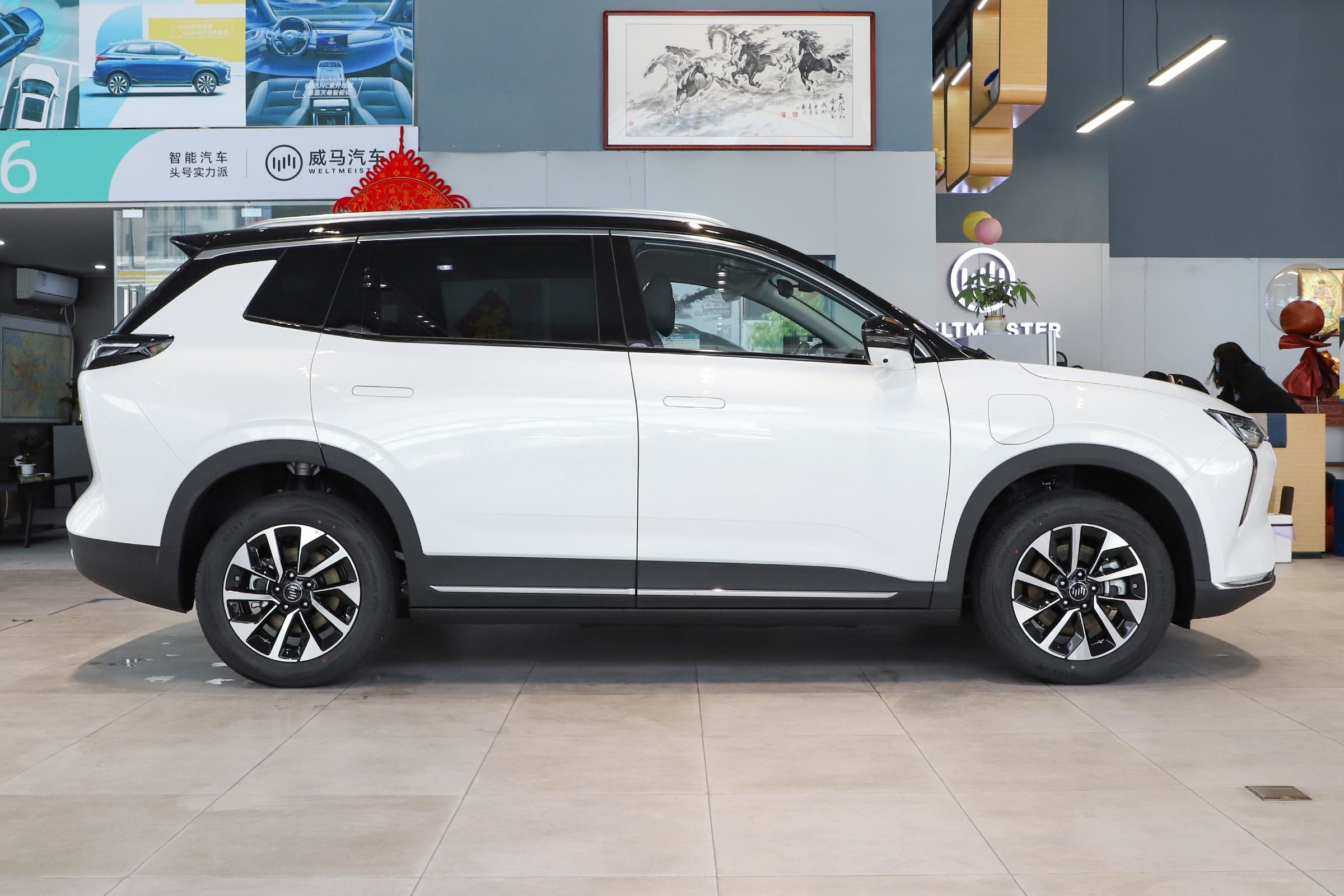 Weima W6 Ex5 2023 Full Electric SUVs LHD 5 Seat 4 Doors