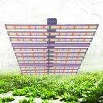 1200W Dimmable Adjustable LED Grow Lights For Indoor Greenhouse