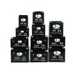 Anti Fire 0.95kg 12N 6.5L BS Motorcycle Lead Acid Battery Custom Black