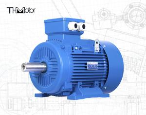 China YSP Mining VFD Three Phase Asynchronous Motor 1000kw on sale