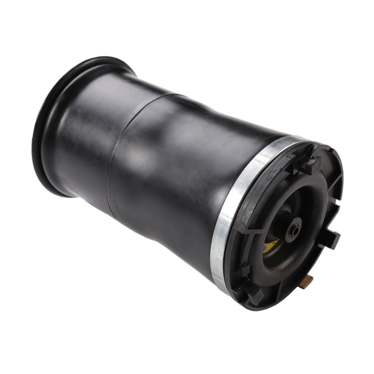 Auto Parts Hummer Air Suspension Air Spring For Hummer H2 Rear Left And Right OE 15938306