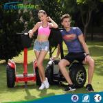 4000 Watt Double Battery 2 Wheel Segway Electric Scooter for adults , 20KM/H Max