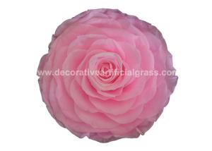 Quality 100% Real A Grade Preserved Long Lasting Rose Flower For Wedding Decoration wholesale