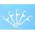 Factory Price Oral Care Eco Friendly Advanced Clean Toothpick Dental Flosser