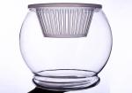 Water culture hydroponic plant glass transparent glass vase container green
