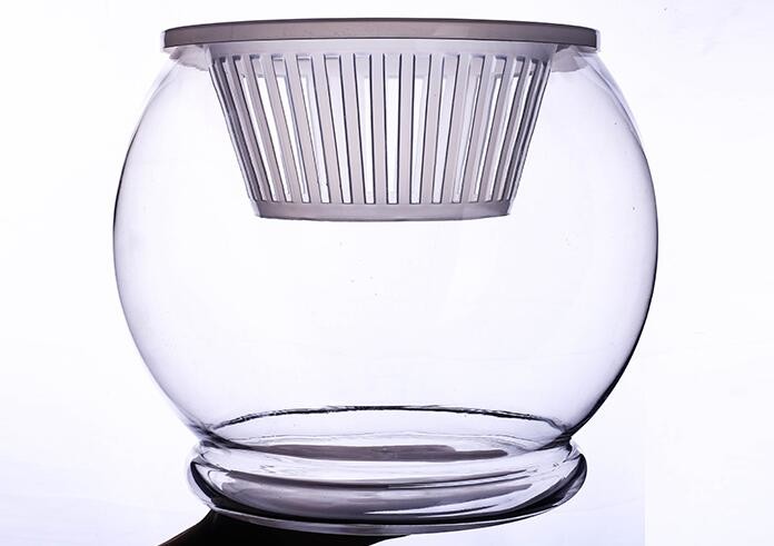 Water culture hydroponic plant glass transparent glass vase container green planter round fish tank water plant plants
