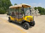 New Electric Power Steering Golf Truck Cheap Price Evolution Small Golf Cart