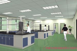 Quality Rectangular School Science Laboratory Furniture Flexible Steel And Wood wholesale