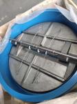 8 Inch DN150 DN300 Ductile Iron DI SS304 Stainless Steel Cf8m Duo Plate Disc