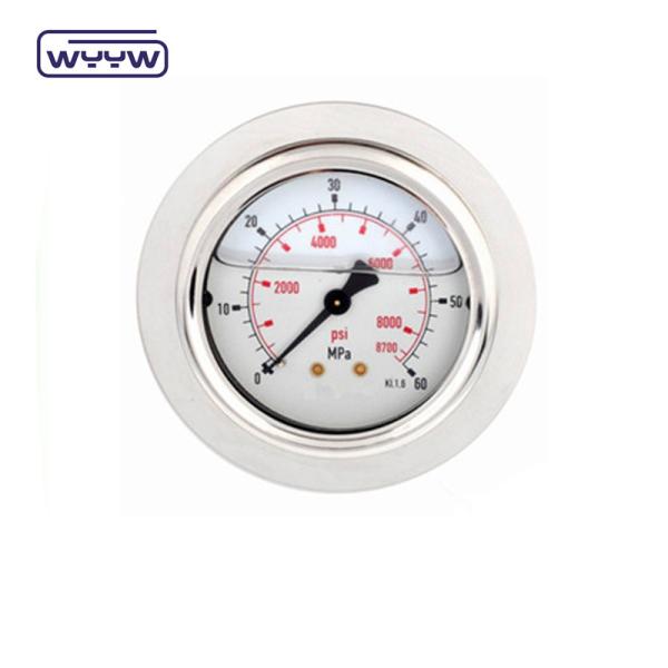 China custom OEM stainless steel hydraulic oil safe gauge pressure gauge,oil