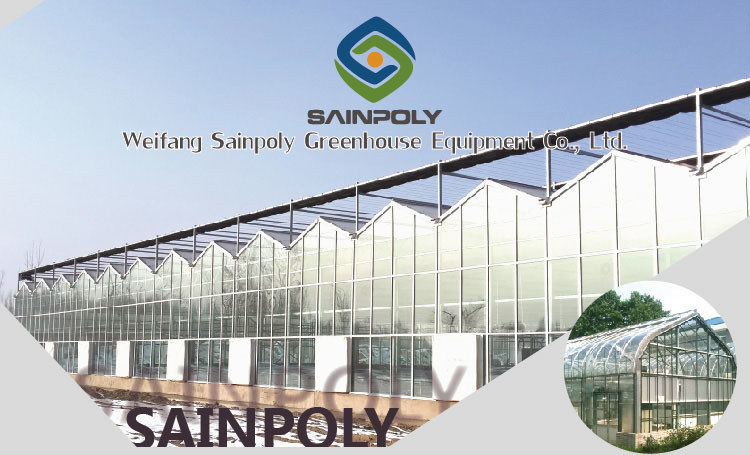 Anti Wind PC Sheet Greenhouse High Light Transmission Span Width 9.6 / 10.8 / 12m