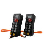 24V 250m Universal Hoist Crane Wireless Remote Control For Industrial Equipment
