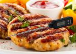 Pen Type Accurate Meat Thermometer Digital Cooking Thermometer 40g Weight