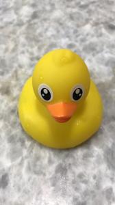 Quality Cartoon rotocasting rubber duck vinyl toys wholesale