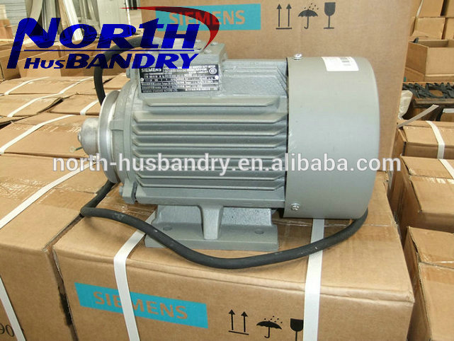 q8855455 (17).jpg