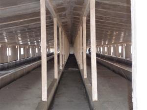 Quality Steel Sandwich Panel Material Poultry Steel Framing Systems For Breeding Chicken wholesale
