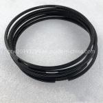 Sinotruk HOWO Foton Heavy Truck Engine Parts Piston Ring 612600030053 with