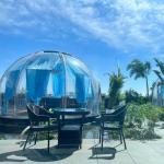 Party Glamping Bubble Tent PC Clear Dome House For Outdoor Garden