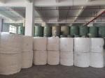 25% Viscose 75% Polyester Fibre Spunlace Nonwoven Germany TrüTzschler