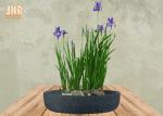 Multi Color Clay Plant Pots Fiberclay Flower Pots Round Pot Planters Garden Pots