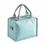 PEVA Lining 600D Polyester Insulated School Lunch Bag