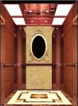 ORIA Affordable and Safe Comfortable and Silent passenger elevator