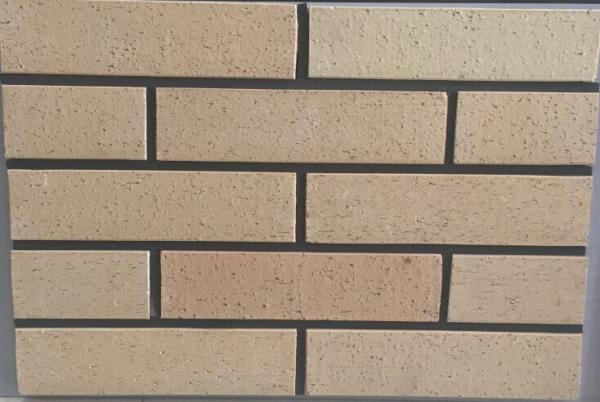 Solid Wire Cut Outdoor Brick Paneling , Brick Veneer Panels Exterior 12mm