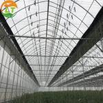 Galvanized Skeleton Cover Film for Agricultural Product in Shouguang Easy to