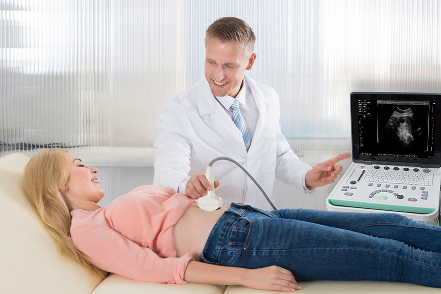 15 inch Cheap Hotsell SS-7 Vet Ultrasound Portable Machine Equipment High Image