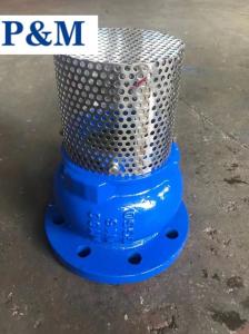 Quality DN100 PN16 GGG50 cast iron flanged foot valve wholesale