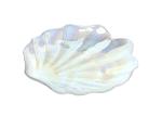 Rainbow Shell Crystal Lead Free Glass Tray Plate,Seashell Dinner Plate
