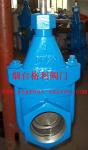cast iron clip gate valve