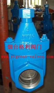Quality cast iron clip gate valve wholesale