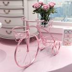Anti Abrasion Outdoor Antique Bicycle Metal Flower Stand