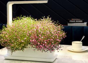 Quality Decorative 12V 9W PP Home Hydroponic Growing Systems wholesale