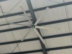 Large Hvls Industrial Ceiling Fan Application in Inner Basketball Sports Center