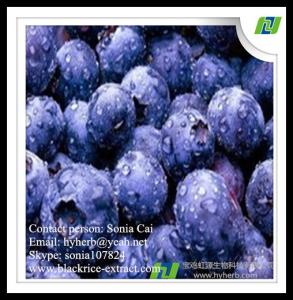 Quality factory supply pure natural organic bilberry extract,anthocyanidins 25% wholesale