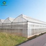 Intelligent Smart Agricultural Gothic Greenhouse Customization Size