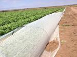 Packaging Fabric Nonwoven Mat Agricultural Non-woven Fabric Polyester Nonwoven