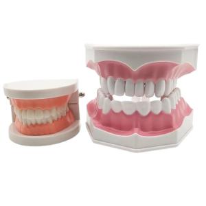 Quality Laboratory Dentures Dental Filled Dental Implants Complete Restorative Overlays Denture wholesale