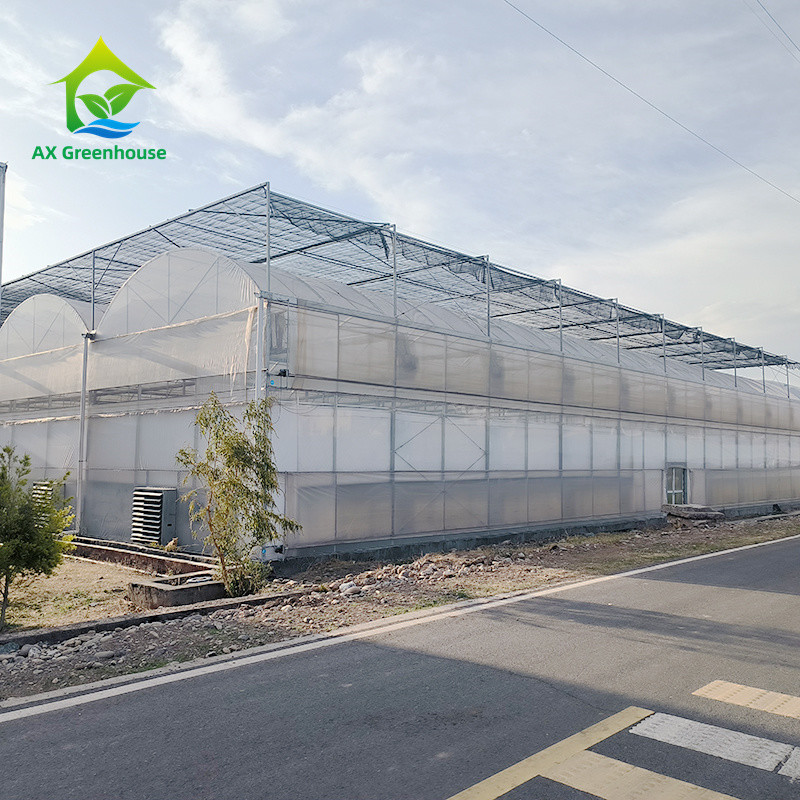 Galvanized Steel Frame PE Plastic Film Greenhouse For Agriculture Low Cost Tunnel