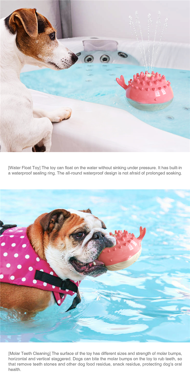 Hot Sale New Little Crocodile Spray Toy Water Dog Toy For Summer Dogs