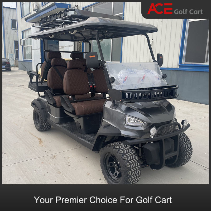 Plastic Cover Golf Club Cart Customized Electric 6 Seater Golf Buggy