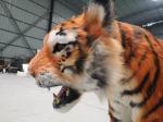 Realistic Color Animatronic Tiger Model Weather Resistant Adult Age