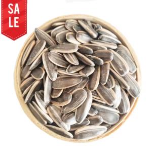Quality High Grade 2024 New Crop Inner Mongolia Premium Quality Organic Bulk Large Sunflower Seeds for Sale wholesale