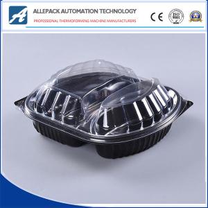 Quality OEM Disposable Plastic Containers , Disposable Clear Food Box Plastic Box wholesale