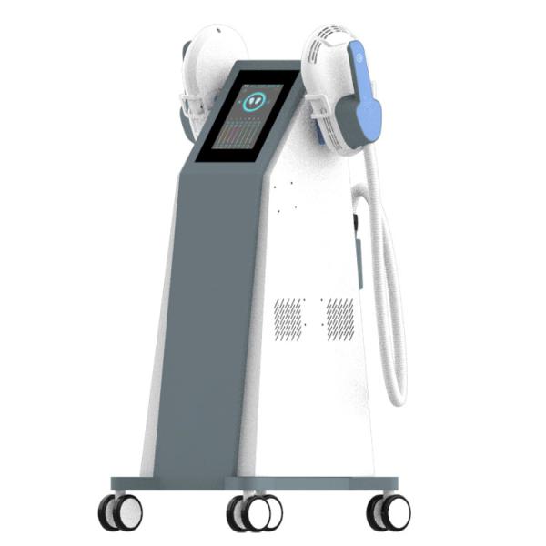 Cheap Double Head  Electrotherapy Weight Loss Machines Firm Abs Weight Loss for sale