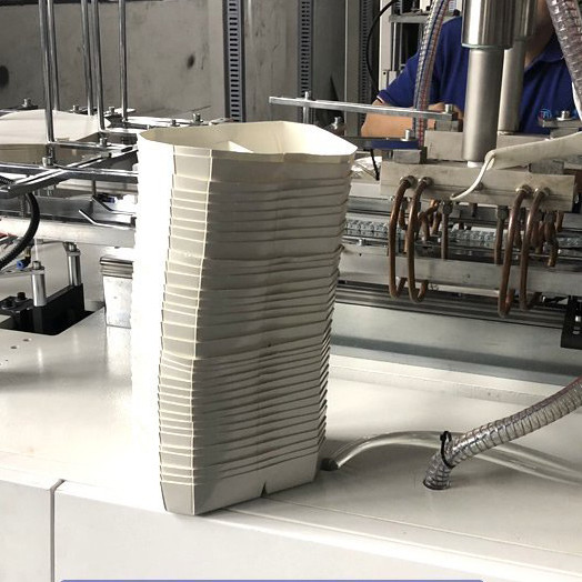 Paper Plastic Lunch Box Forming Machine Sandwich Multi Grid