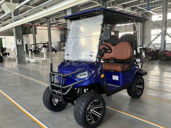 Electric Golf Cart 2+2 Passenger Lead Batteries Powered Four Wheeler Hunting