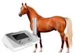 Acoustic Shock Wave Therapy Eswt Device For TPLO Tibial Plateau Leveling